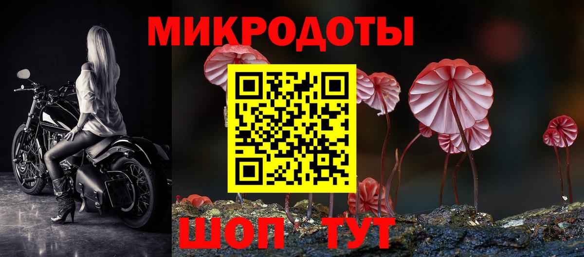 Псилоцибиновые грибы Psilocybine cubensis  Галлюциногенные грибы MAGIC MUSHROOMS  Котовск  Вход с VPN 